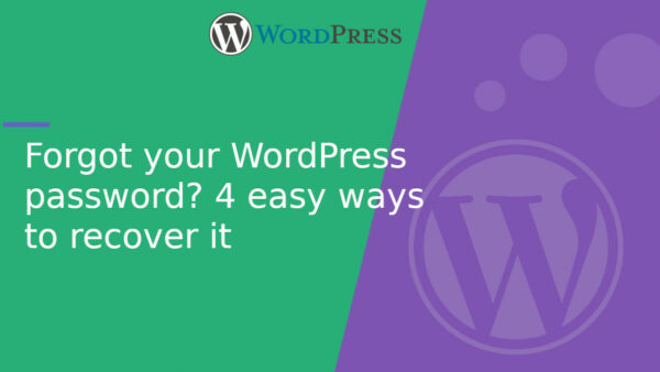 Forgot your WordPress password? 4 easy ways to recover it